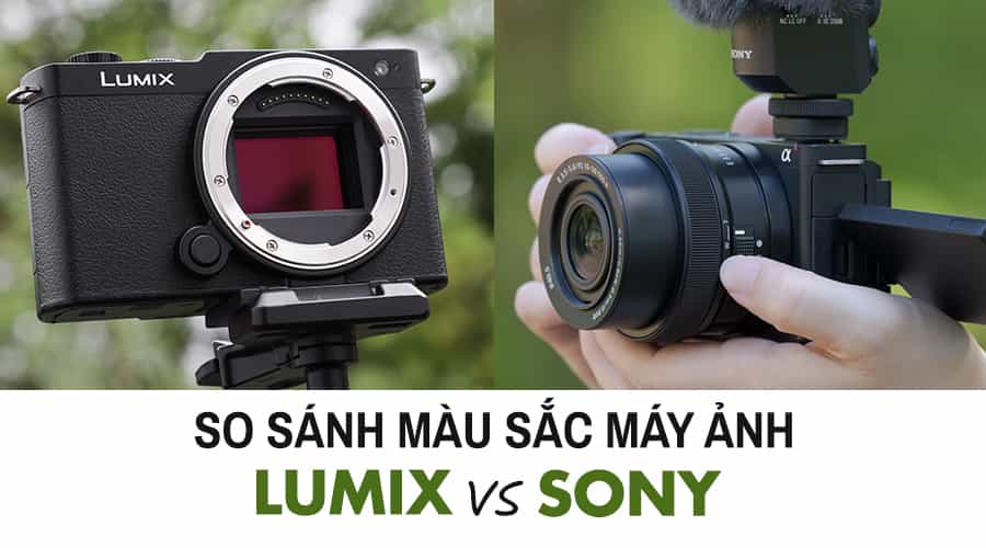 So Sánh Màu Sắc Máy Ảnh LUMIX Vs Sony: Hệ Thống Nào Tốt Nhất Cho Creator?
