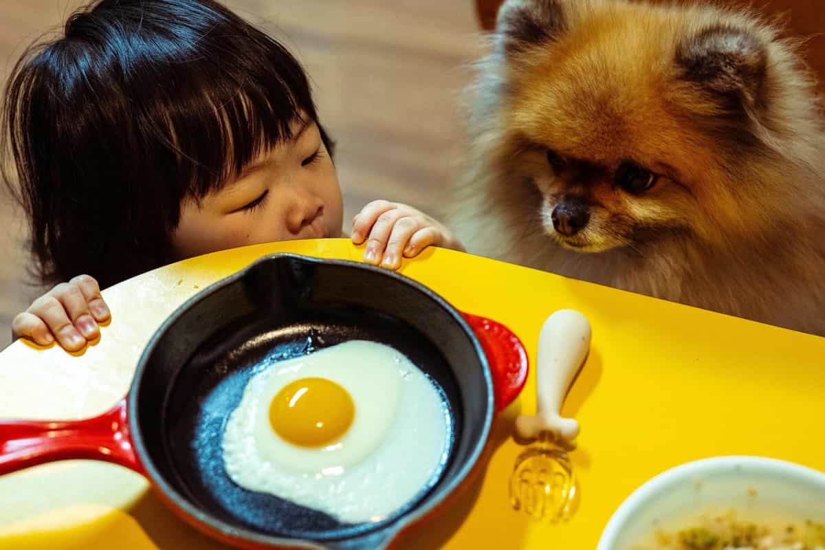 Sunny Side Up - Seungho Kim