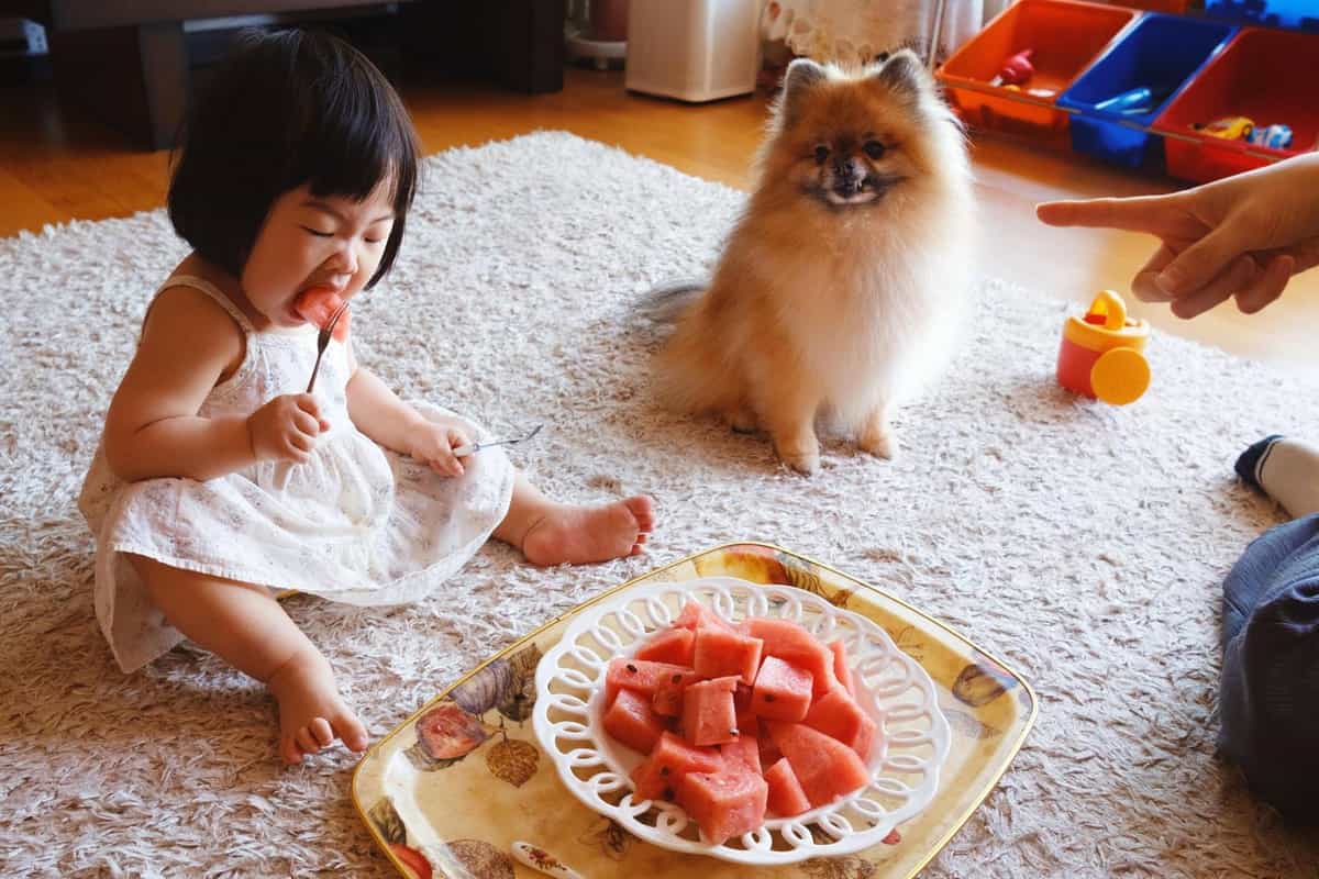 Album kết hợp cả hai thái cực của cuộc sống hôn nhân Hàn Quốc