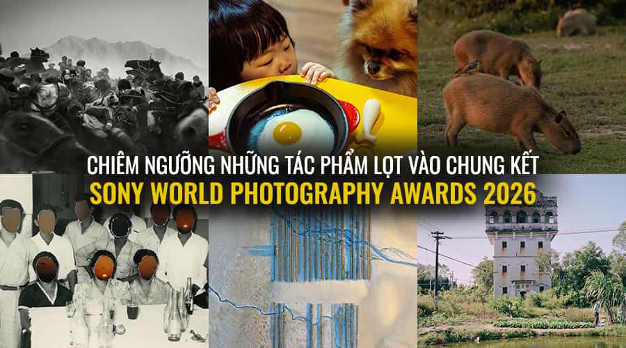 Sony World Photography Awards 2026: Chiêm Ngưỡng Những Tác Phẩm Lọt Vào Chung Kết