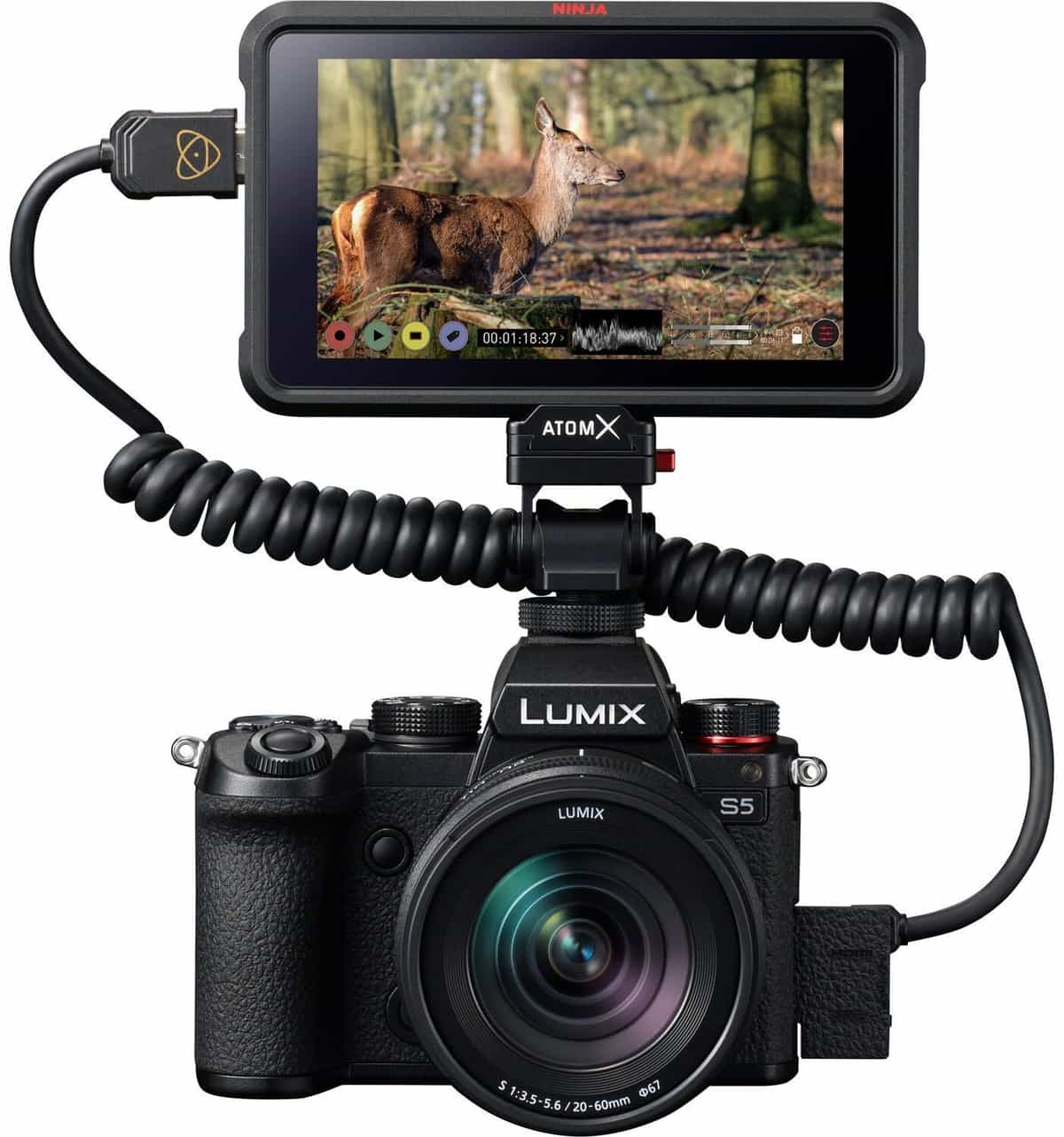 Panasonic Lumix S5 hỗ trợ quay video 10bit