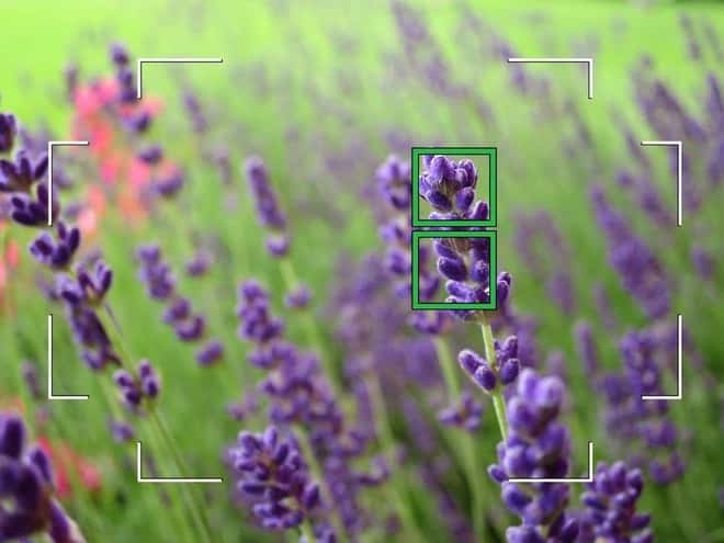 tìm hiểu về lens máy ảnh có tác dụng gì