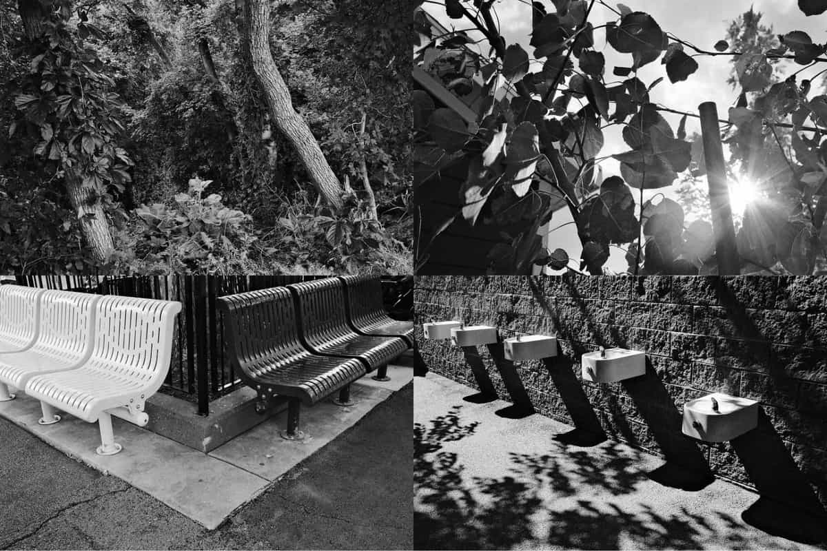 Giả lập màu Kodak Tri-X 400 trên máy Fujifilm