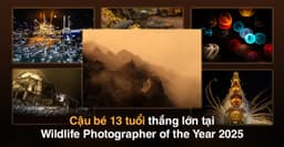 This is post image