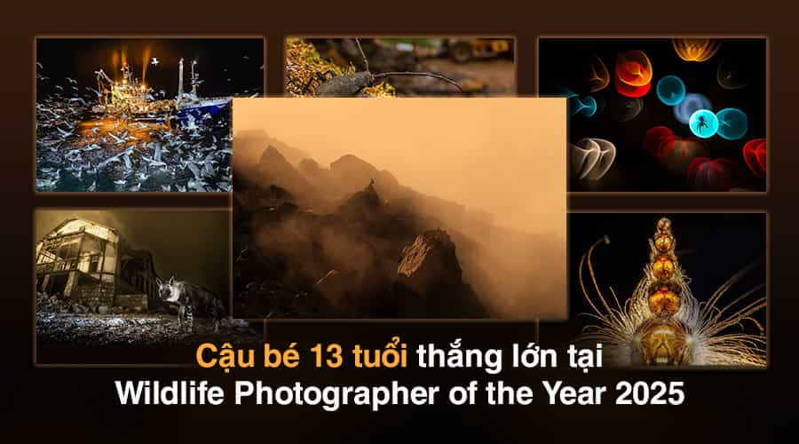 Cậu Bé 13 Tuổi Thắng Lớn Tại Wildlife Photographer of the Year 2025